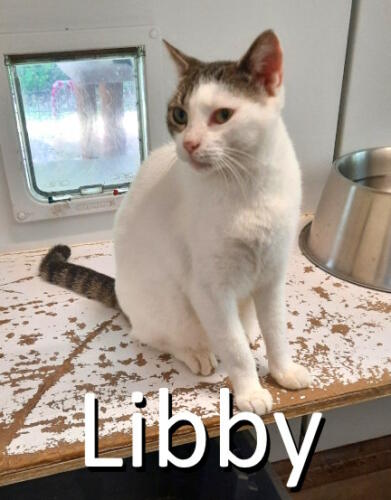 Stone County Humane Society